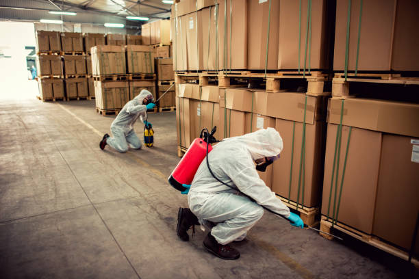Best Best Pest Control Companies  in Thornwood, NY