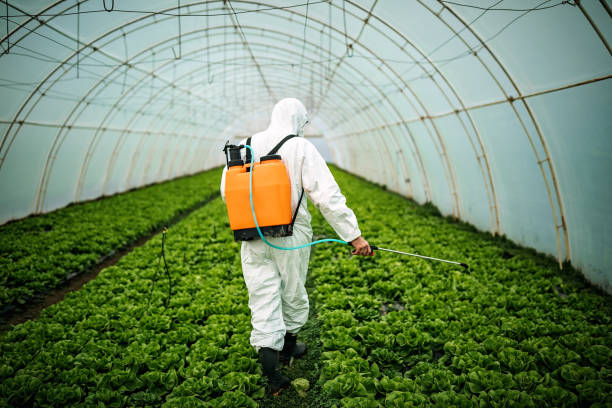 Pest Control for Restaurants in Thornwood, NY