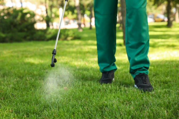 Best Pest Control for Restaurants  in Thornwood, NY