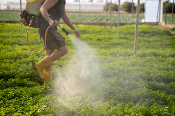 Best Best Pest Control Companies  in Thornwood, NY