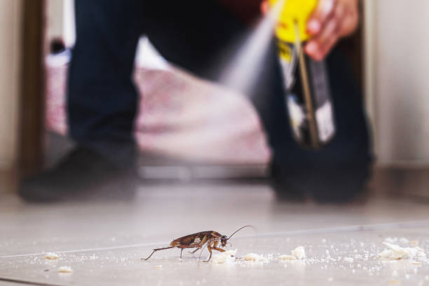 Best Exterminator Services  in Thornwood, NY